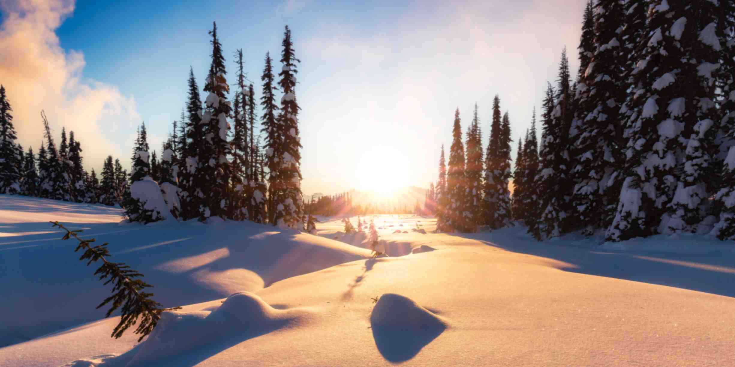 How to Get to Whistler from Vancouver: The Ultimate Travel Guide