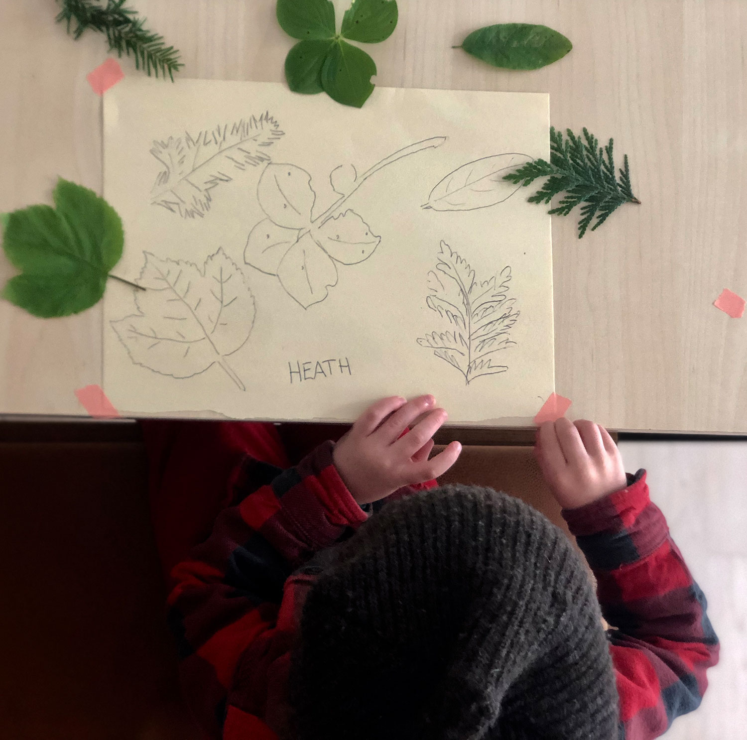 Kids Corner: Slowing down