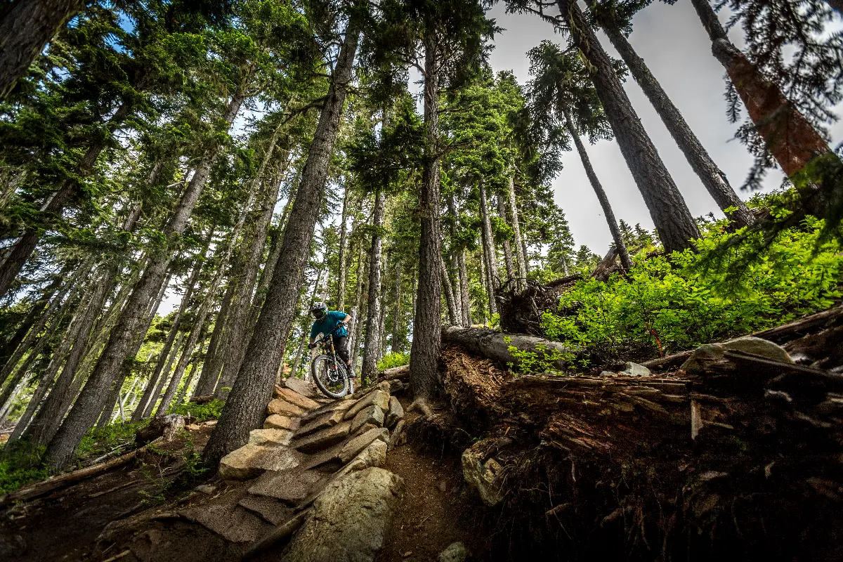 Things To Do Whistler Mountain Bike Park