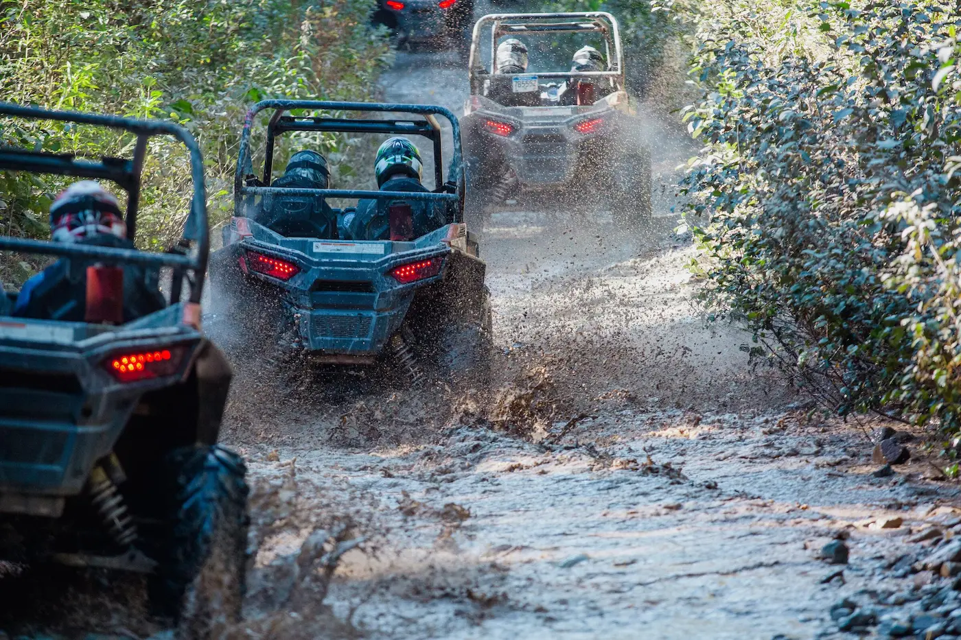 Side-by-Side Wilderness Adventure