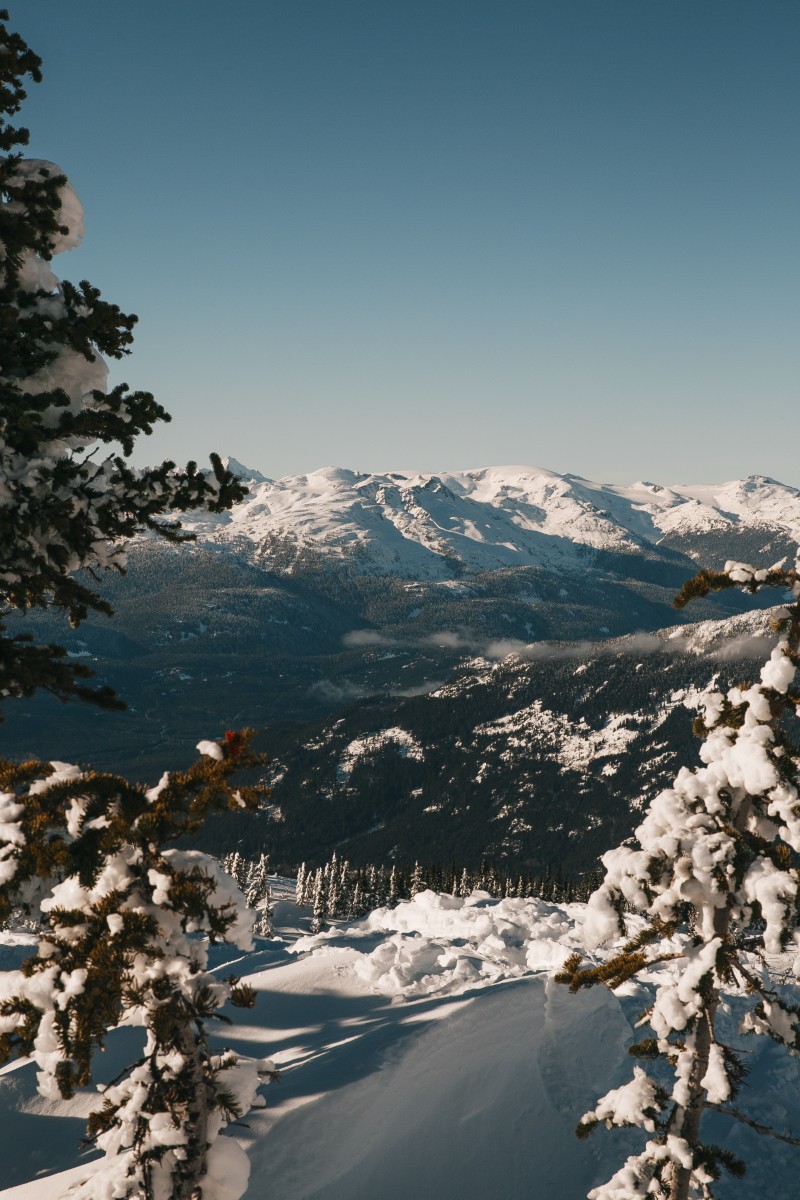 Skiing and Snowboarding