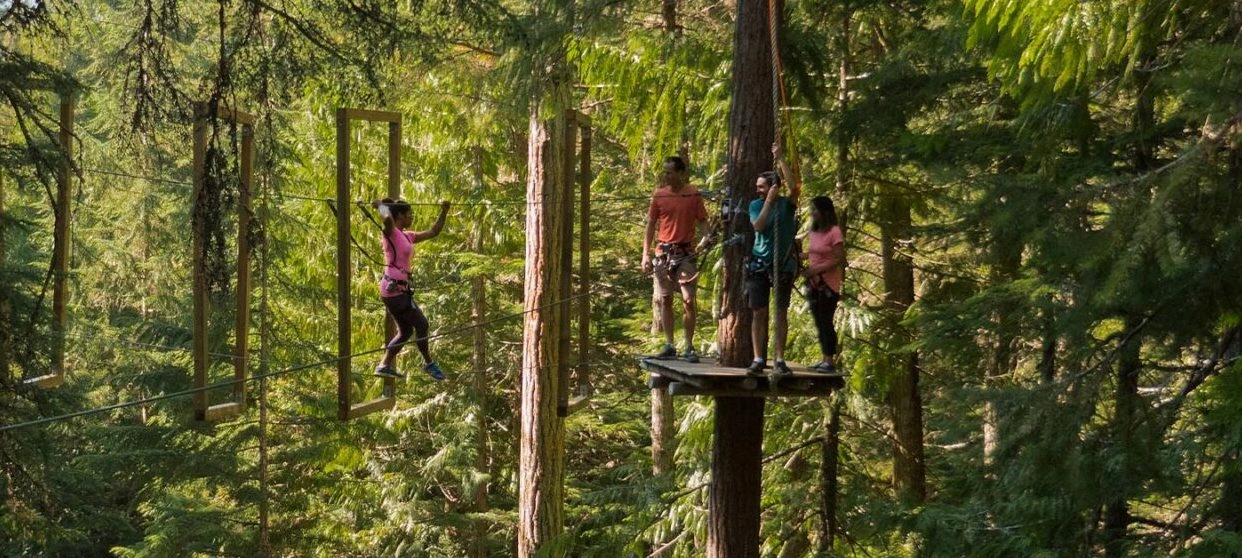 Aerial Obstacle Adventure